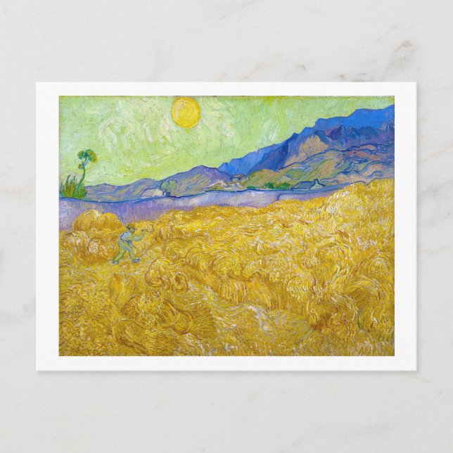 Cartão Postal Campos de Trigo com Ceifador no Sunrise Van Gogh (Frente)
