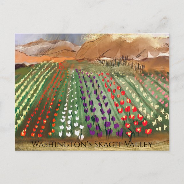 Cartão Postal Campos de Tulipa da WA Skagit Valley Sonhando na P (Frente)