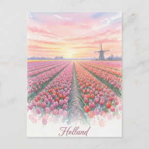 Cartão Postal Campos de Tulipas Moinho de Vento Holanda Países B