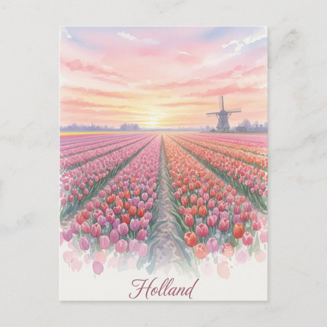 Cartão Postal Campos de Tulipas Moinho de Vento Holanda Países B (Frente)