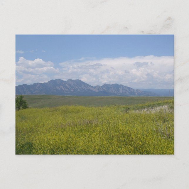 Cartão Postal Campos verdes e Dourados (Frente)