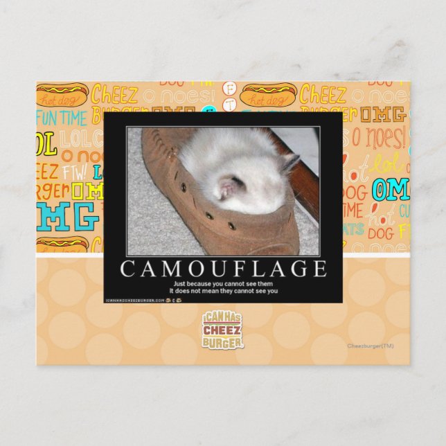 Cartão Postal Camuflagem (Frente)