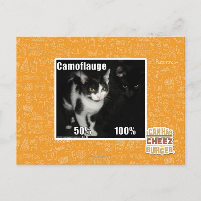 Cartão Postal Camuflagem (Frente)