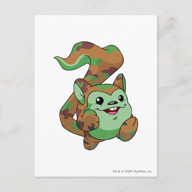 Cartão Postal Camuflagem de Meerca (Frente)