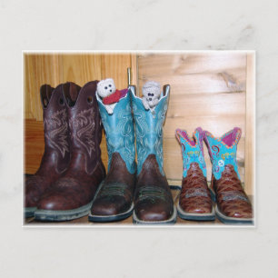 Cartão Postal Camundongos em botas!