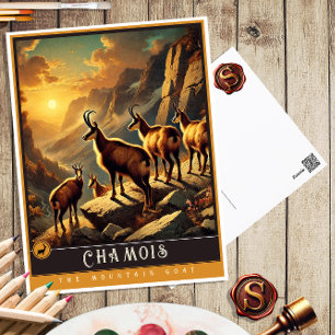 Cartão Postal Camurça Lindo Postal de Animal Antigo da Família