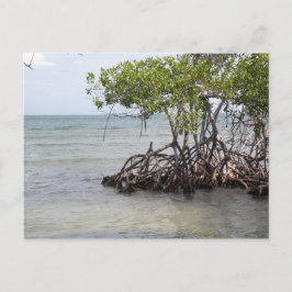 Cartão Postal Caña Gorda Guanica