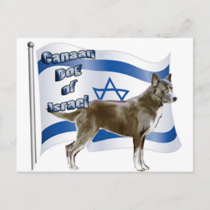 Cartão Postal Canaã de Israel