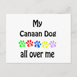 Cartão Postal Canaan Dog Walks Design