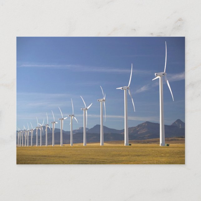 Cartão Postal Canadá, Alberta, Crowsnest Pass Area: Cowley (Frente)