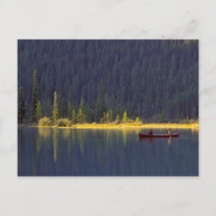 Cartão Postal Canadá, Alberta, Parque Nacional Baniff. Dois garo