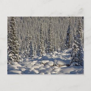 Cartão Postal Canadá, Alberta, Parque Nacional Jasper.