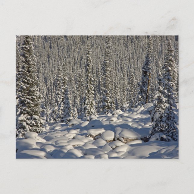 Cartão Postal Canadá, Alberta, Parque Nacional Jasper. (Frente)