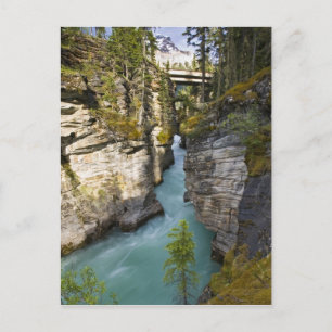 Cartão Postal Canadá, Alberta, Parque Nacional Jasper, Athabasca