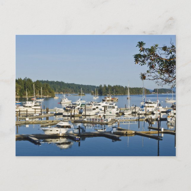 Cartão Postal Canadá, BC, Ilhas do Golfo, Ilha Salt Spring, (Frente)