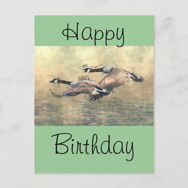 Cartão Postal Canadá Geese (Frente)