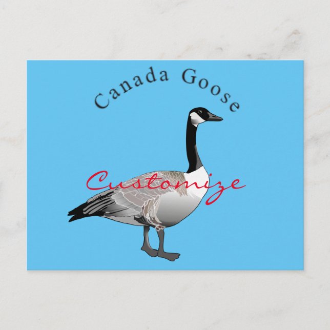 Cartão Postal Canadá Goose Gander Thunder_Cove (Frente)