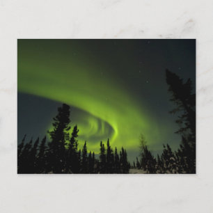 Cartão Postal Canadá, Manitoba. Vista de aurora borealis e