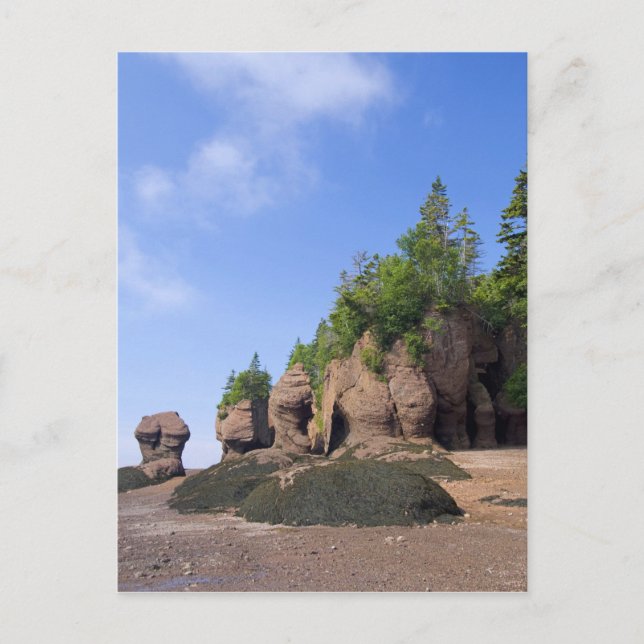 Cartão Postal Canadá, New Brunswick, Hopewell Cape, Bay (Frente)