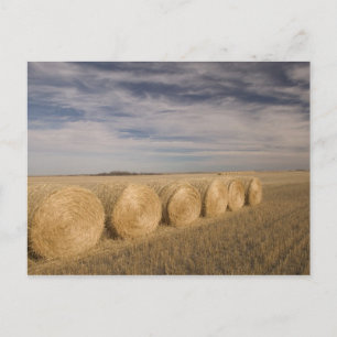 Cartão Postal Canadá, Saskatchewan, Craik: Fardos de feno / Outo