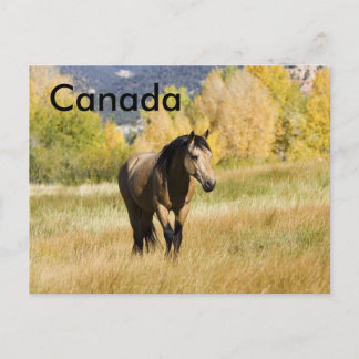 Cartão postal canadense