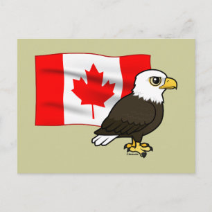 Cartão Postal Canadiano Bald Eagle