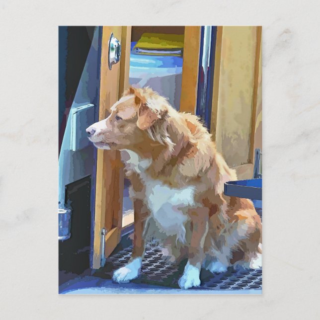 CARTÃO POSTAL CANAIS (Frente)