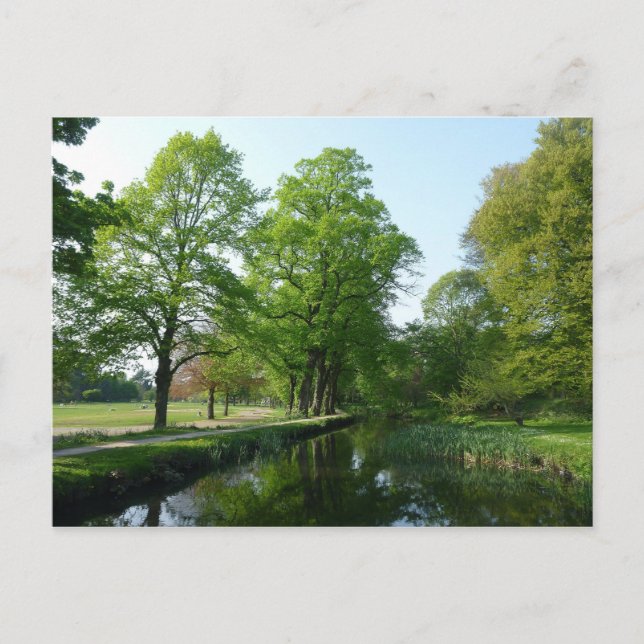 Cartão Postal Canal - Bute Park, Cardiff (Frente)