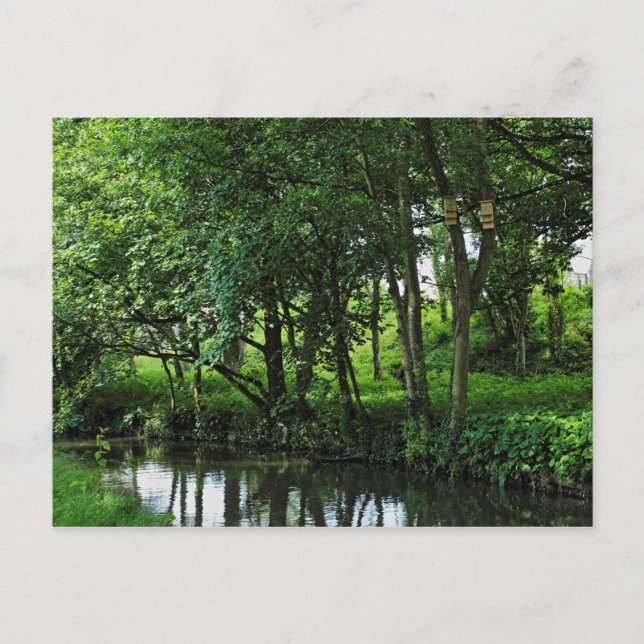 Cartão Postal Canal Dock Feeder, Bute Park, Cardiff, Wales. (Frente)