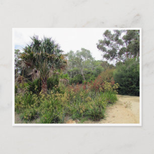 Cartão Postal canberra de jardins botânicos