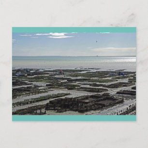 Cartão Postal Cancale Oyster Park França