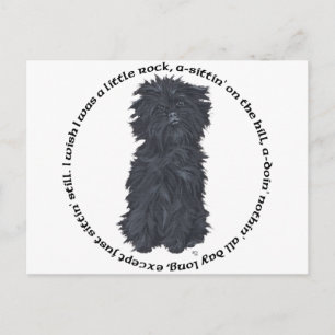 Cartão Postal Canção do Affenpinscher