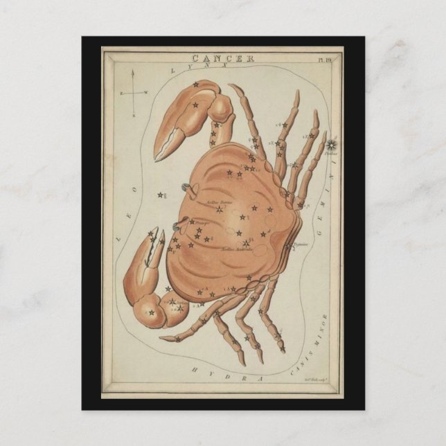Cartão Postal Cancer o caranguejo (Frente)
