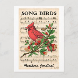 Cartão Postal Canções - Norte Cardinal