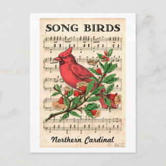 Cartão Postal Canções - Norte Cardinal