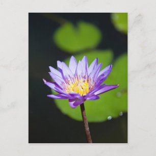 Cartão Postal Cancun, México