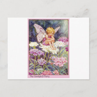 Cartão Postal Candytuft Fairy