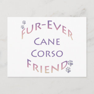 Cartão Postal Cane Corso Fuore