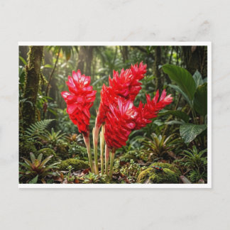 Cartão Postal Caneca de Café Flor de Gengibre Botânica Vibrante