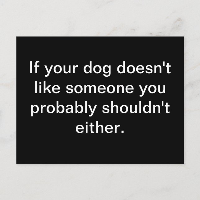 Cartão Postal Canine Wisdom - Cartão-postal (Frente)