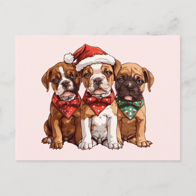 Cartão Postal Caninos de Natal (Frente)