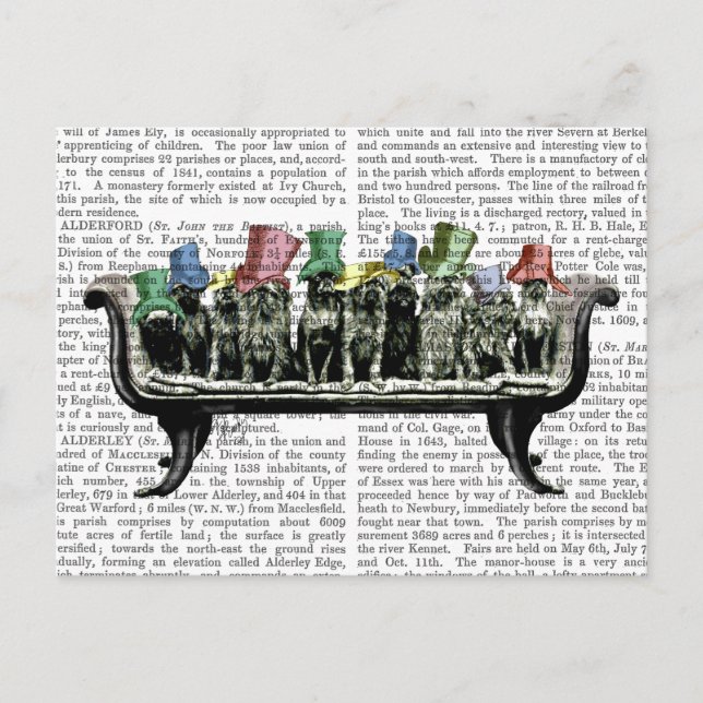 Cartão Postal Caninos em Sofa (Frente)