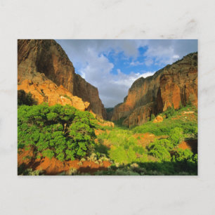 Cartão Postal Cânion Kolob no Zion Canyon no Parque Nacional Zio