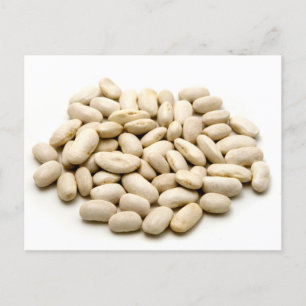 Cartão Postal Cannellini beans 