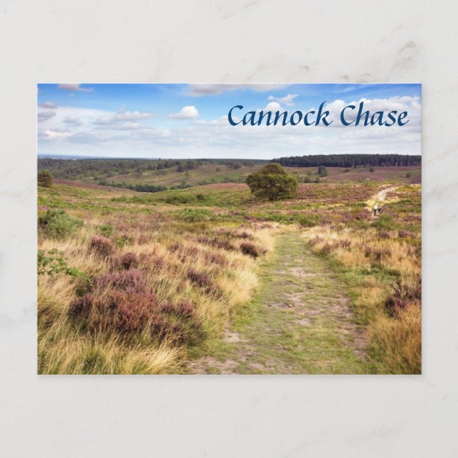 Cartão Postal Cannock Chase em Staffordshire Souvenir foto (Frente)