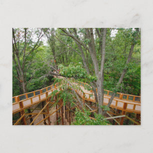 Cartão Postal Canopy Walk, Blacklick Woods Metro Park, Ohio