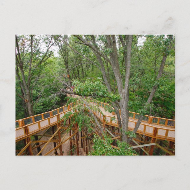 Cartão Postal Canopy Walk, Blacklick Woods Metro Park, Ohio (Frente)