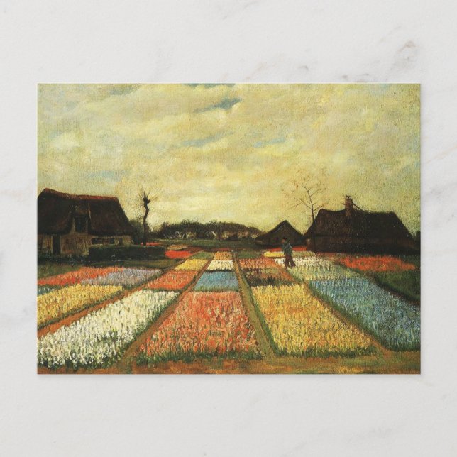 Cartão Postal Canteiros de flores na Holanda (Frente)