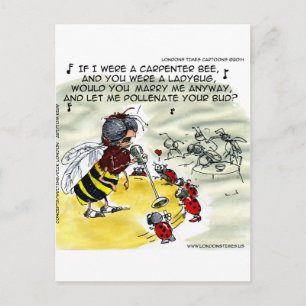 Cartão Postal Cantores do Insect Nightclub Engraçados