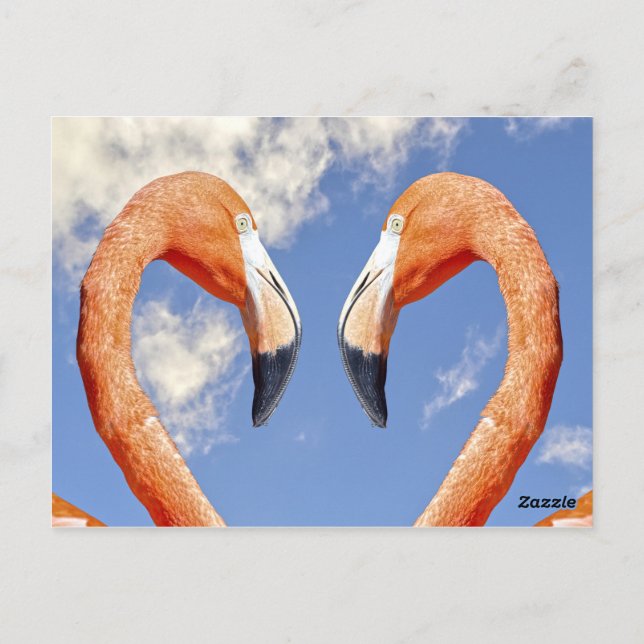 Cartão Postal Canvas de Impressão (Verso)